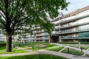 Zdjcie Liwiecka 7, ulica Liwiecka 7, Warszawa Praga Poudnie