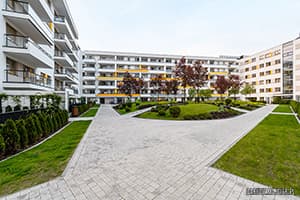 Zdjcie Jdrusik 6, ulica Kaliny Jdrusik 6, Warszawa oliborz